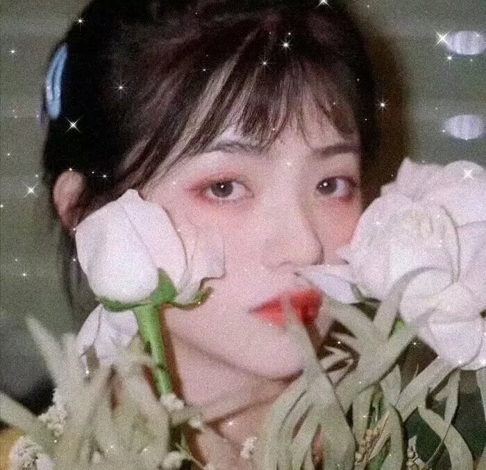 又一春 在线观看